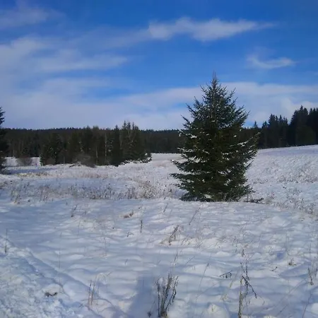 Prazdninovy Dum Matterhorn בית נופש *