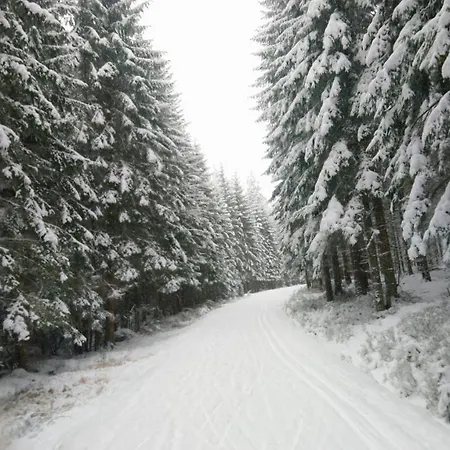 Prazdninovy Dum Matterhorn בית נופש Železná Ruda