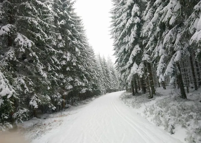 Prazdninovy Dum Matterhorn Feriehus Železná Ruda